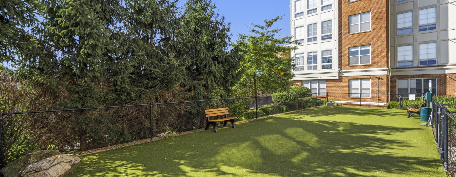 a grassy area with trees and buildings in the background