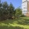 a grassy area with trees and buildings in the background